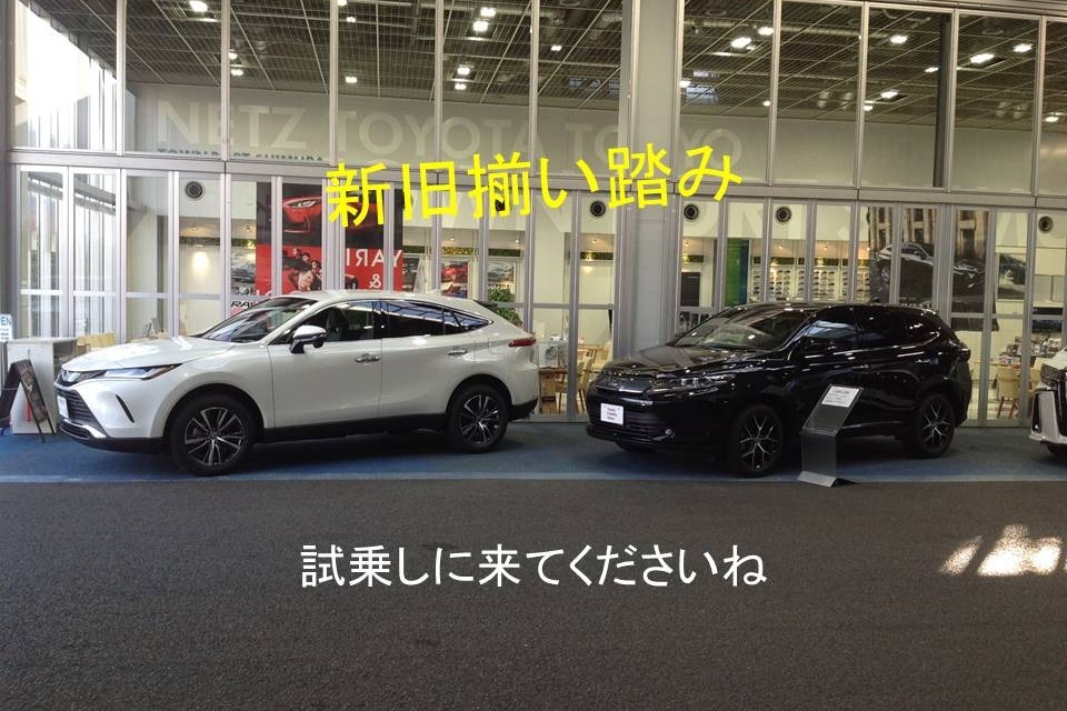 13H_ハリア5