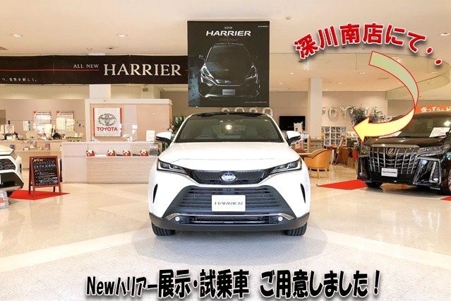 SHOP_深川南_ハリアー