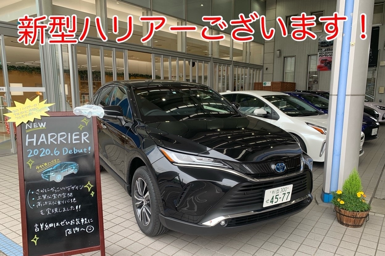 井の頭店ハリアー