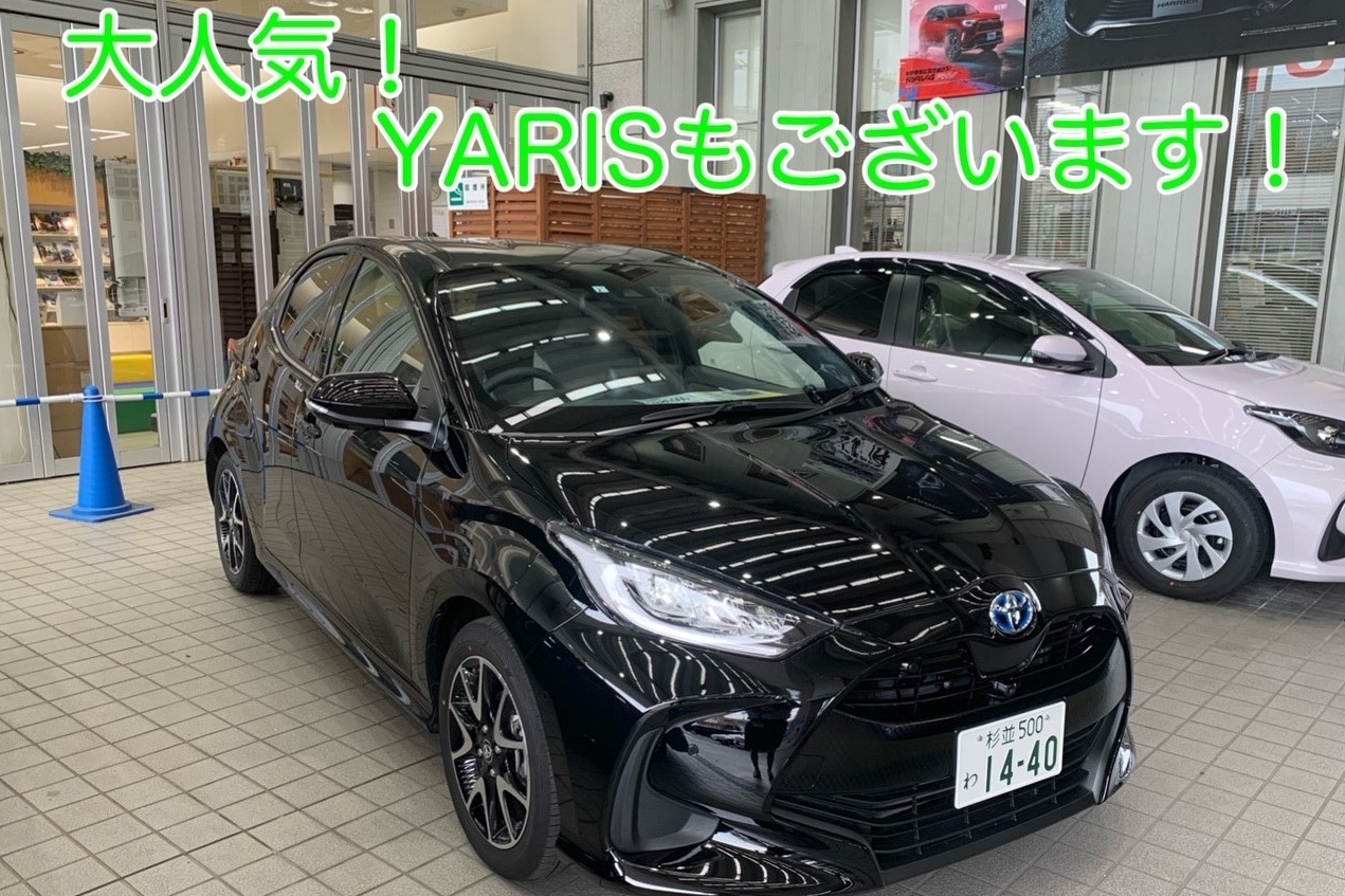 井の頭店ヤリス