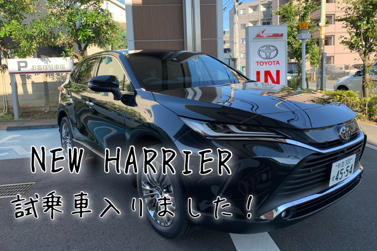 ハリアー