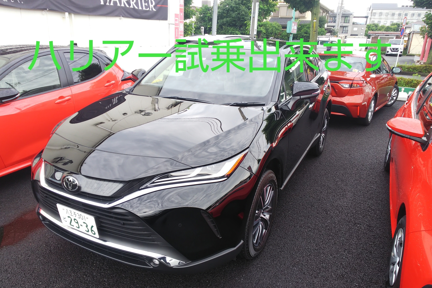 テストドライビング!