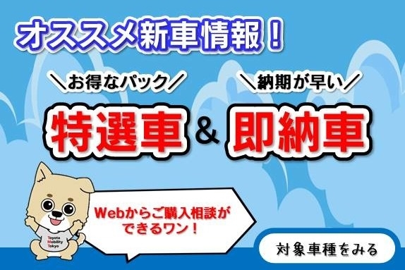 SHOP_豊玉環七通り_特選車