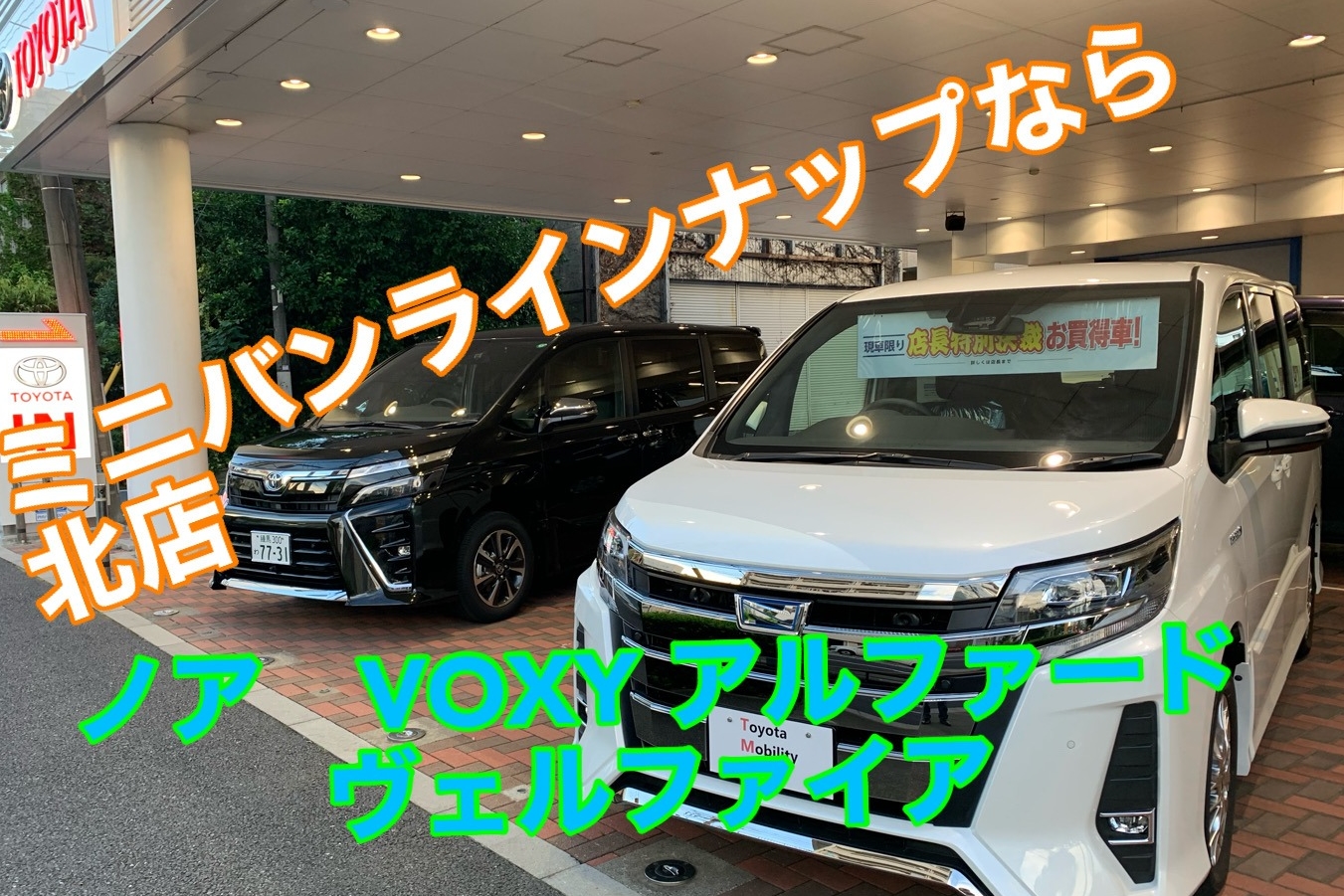 17C北店