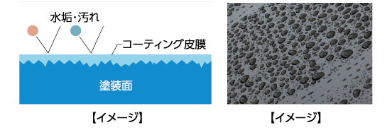 ボディコートとは 塗装面に下地処理を施し、コーティング被膜で表面を保護することで、愛車を汚れにくくするコーティング施工です。