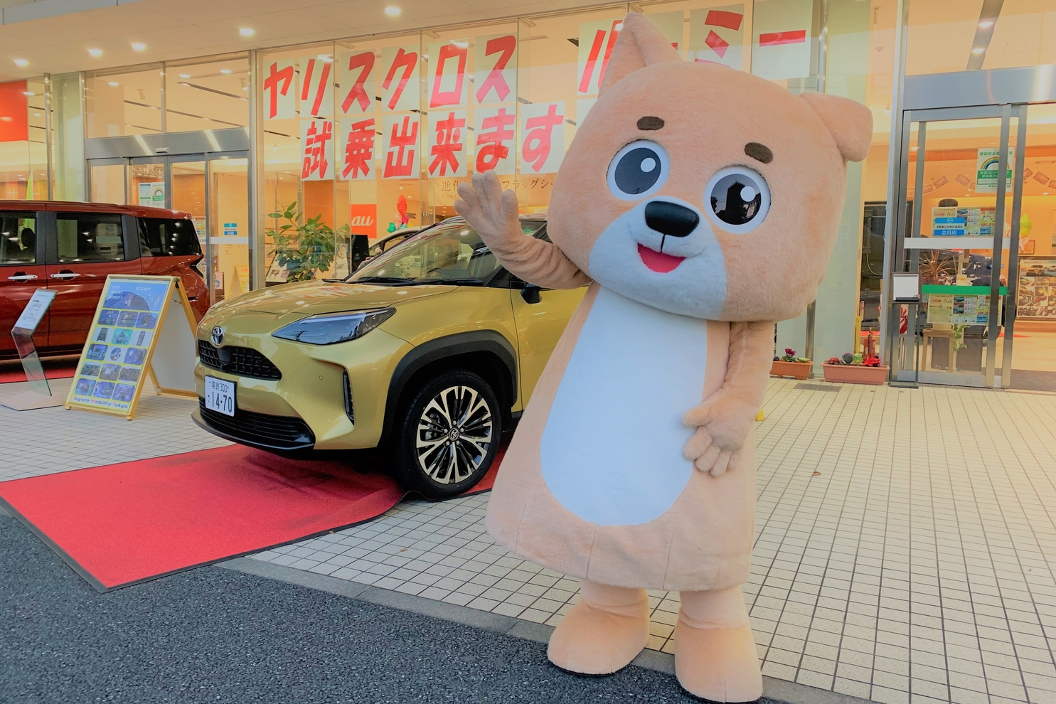 犬