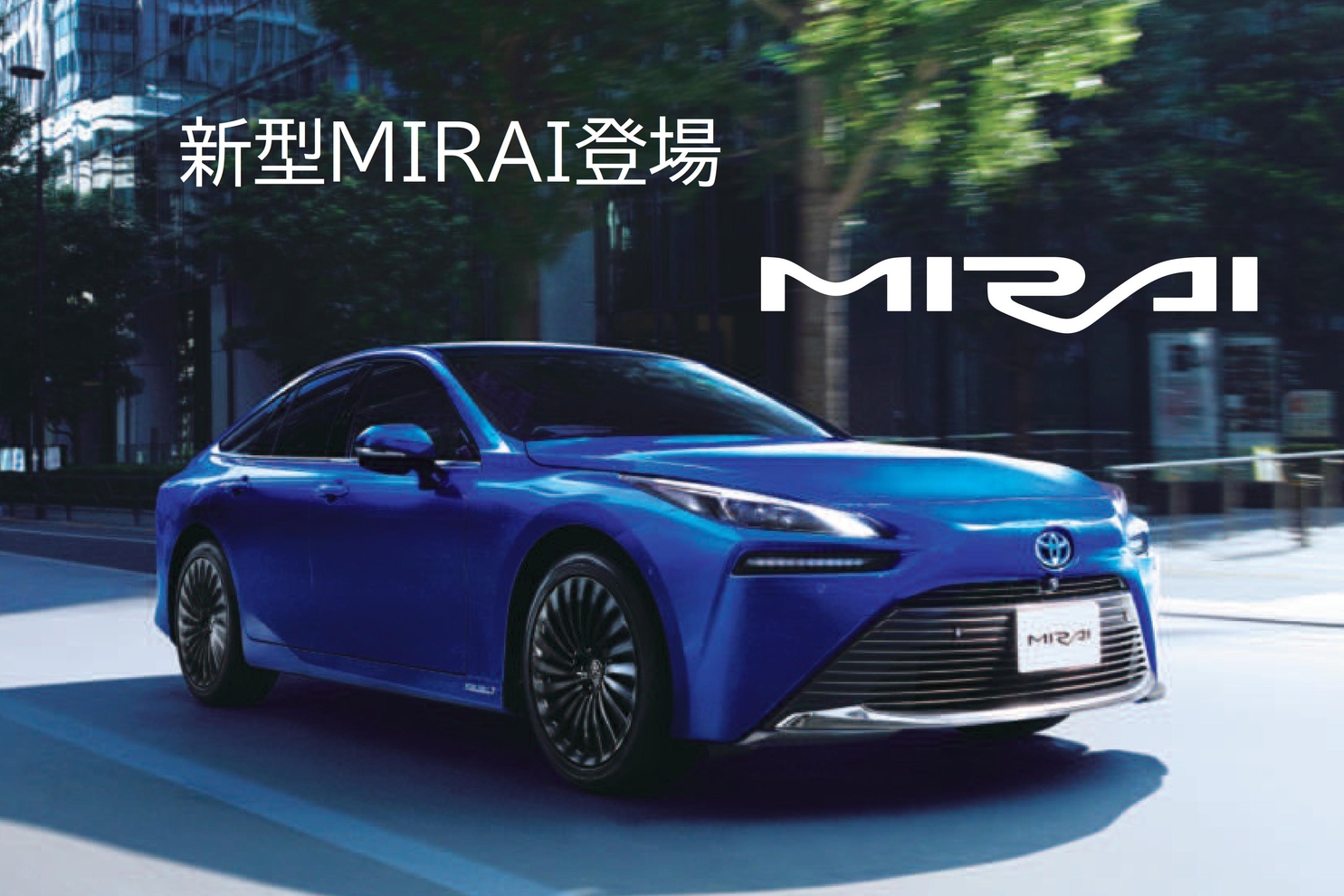 shop_36C MIRAI debut