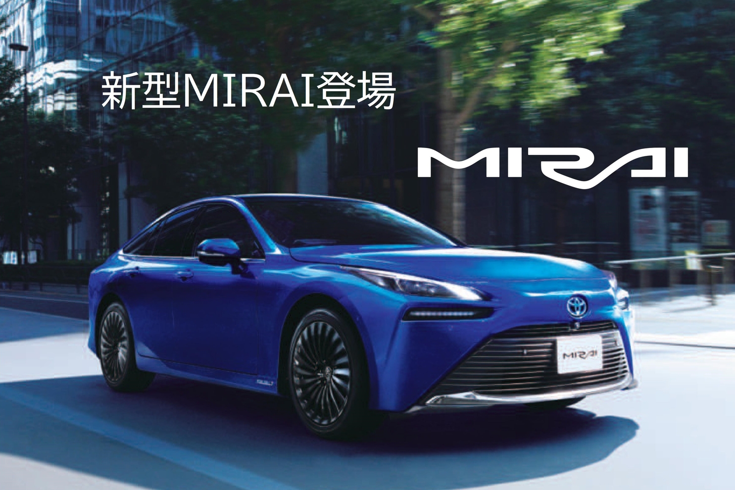 shop_36C MIRAI debut