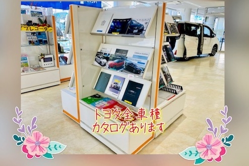 shop_24B