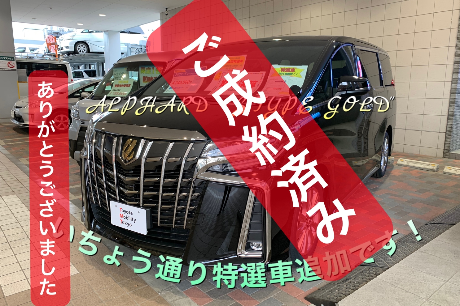 shop_47D_八王子いちょう通り店