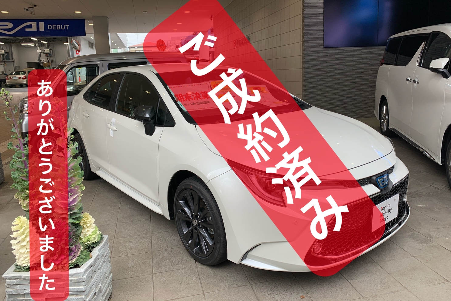 shop_47D_八王子いちょう通り店