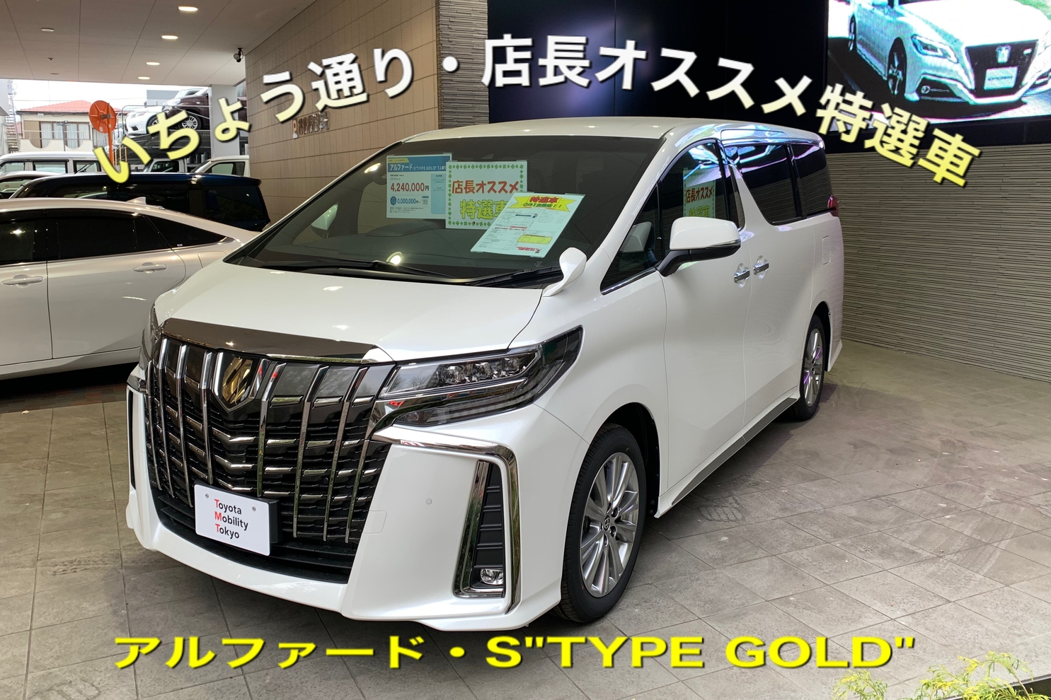 shop_47D_八王子いちょう通り店