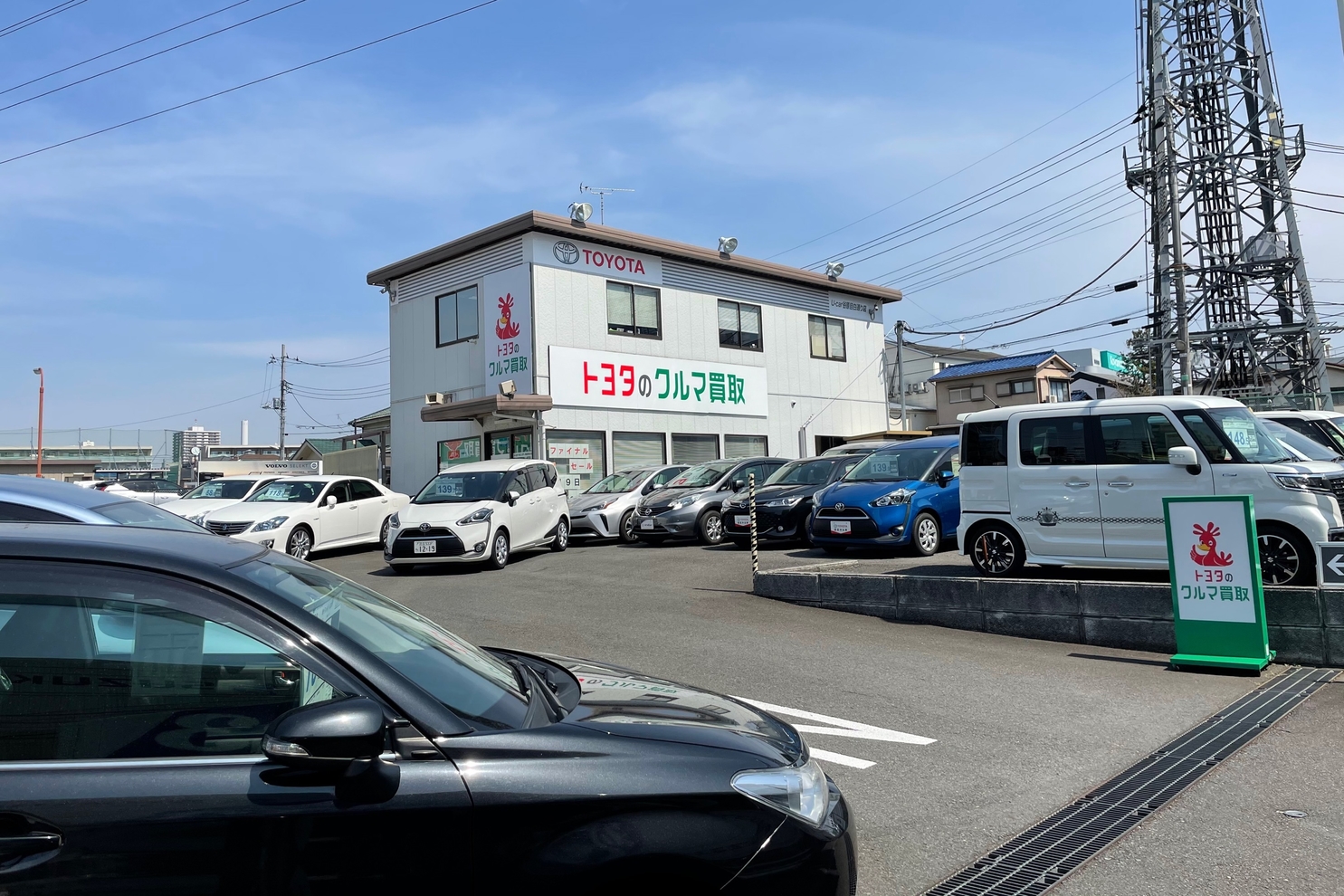 AUTO-GALLERY_C4B_谷原目白通り_展示場6