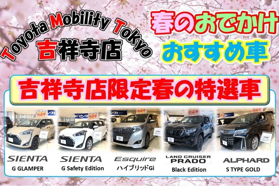 24A_おすすめ車