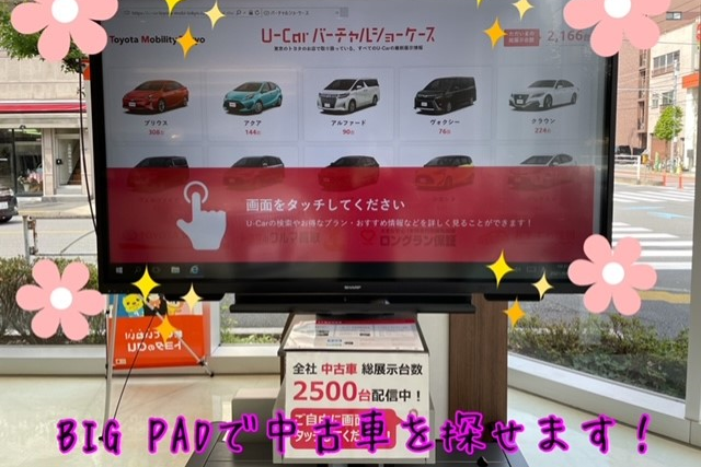 HPbigpad