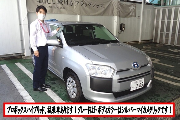 プロボックス試乗車