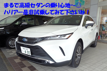 展示写真