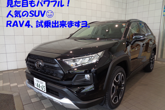 RAV4試乗車写真