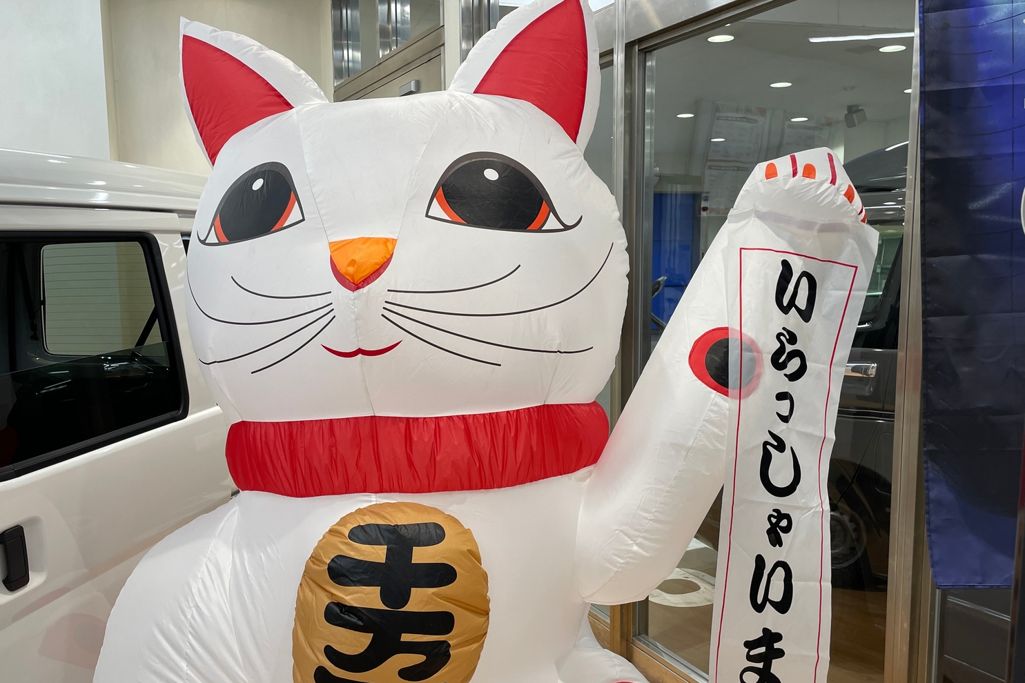 品川戸越店猫写真