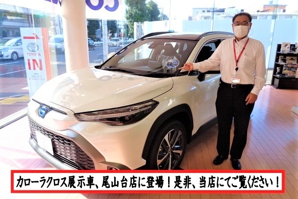 紺野カローラクロス2