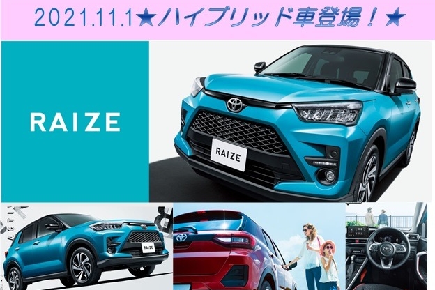 ライズハイブリッド