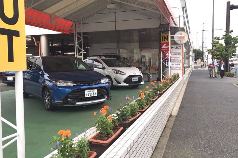 志村東店(旧:東京カローラ志村店)外観2