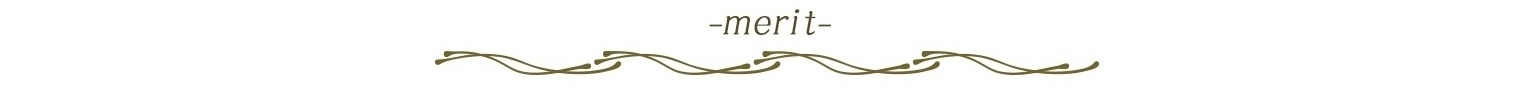 特別仕様車ラインアップ_merit