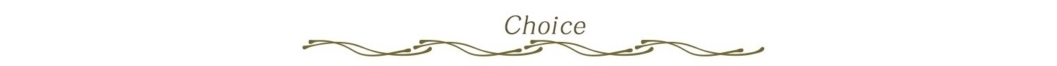 特別仕様車_choice